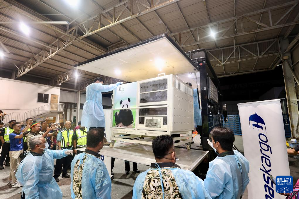 大熊猫“辰星”“晓月”抵达马来西亚吉隆坡