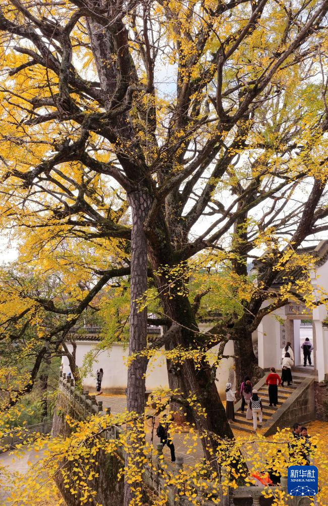 初冬时节，神州大地开启“美颜”模式