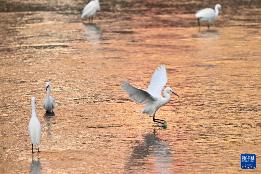 初冬时节，神州大地开启“美颜”模式