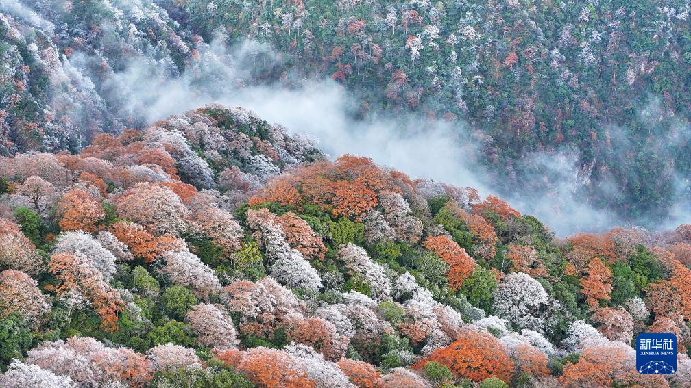初冬时节，神州大地开启“美颜”模式