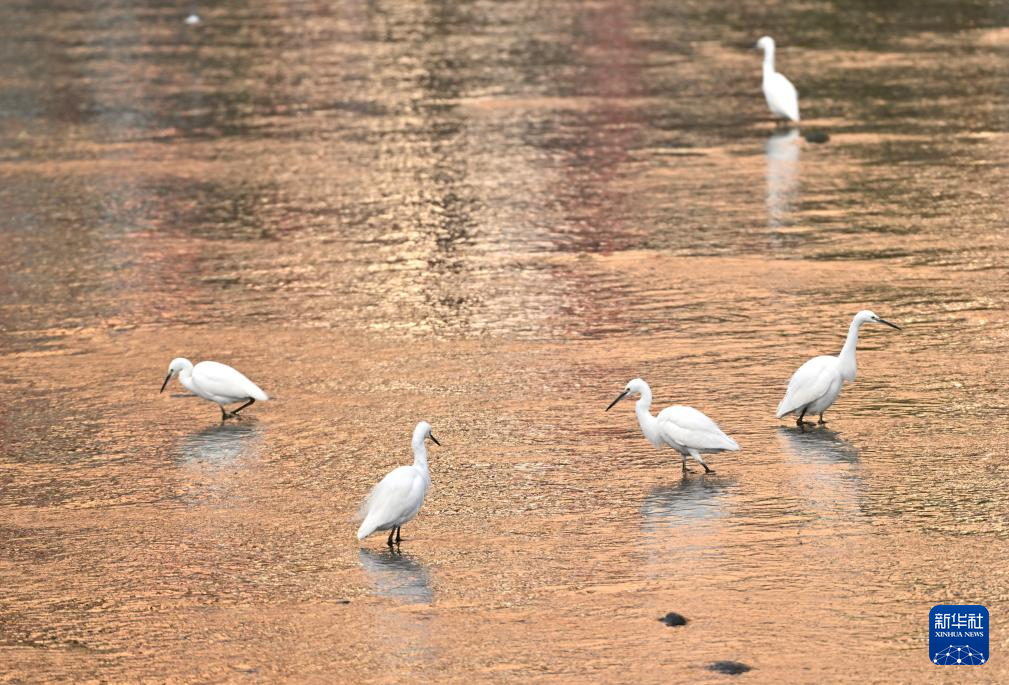 初冬时节，神州大地开启“美颜”模式