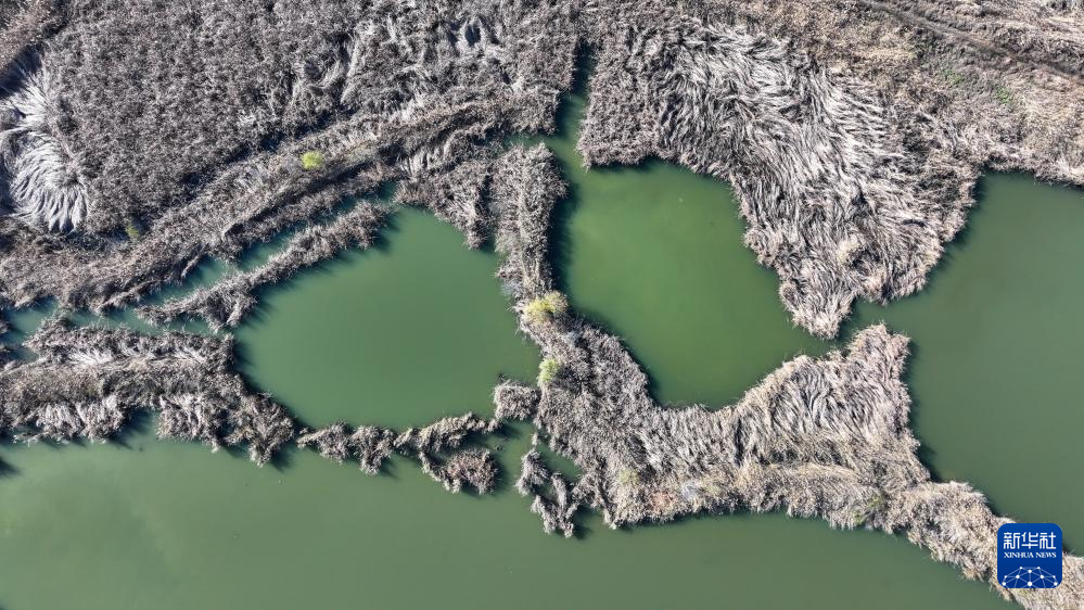 初冬时节，神州大地开启“美颜”模式