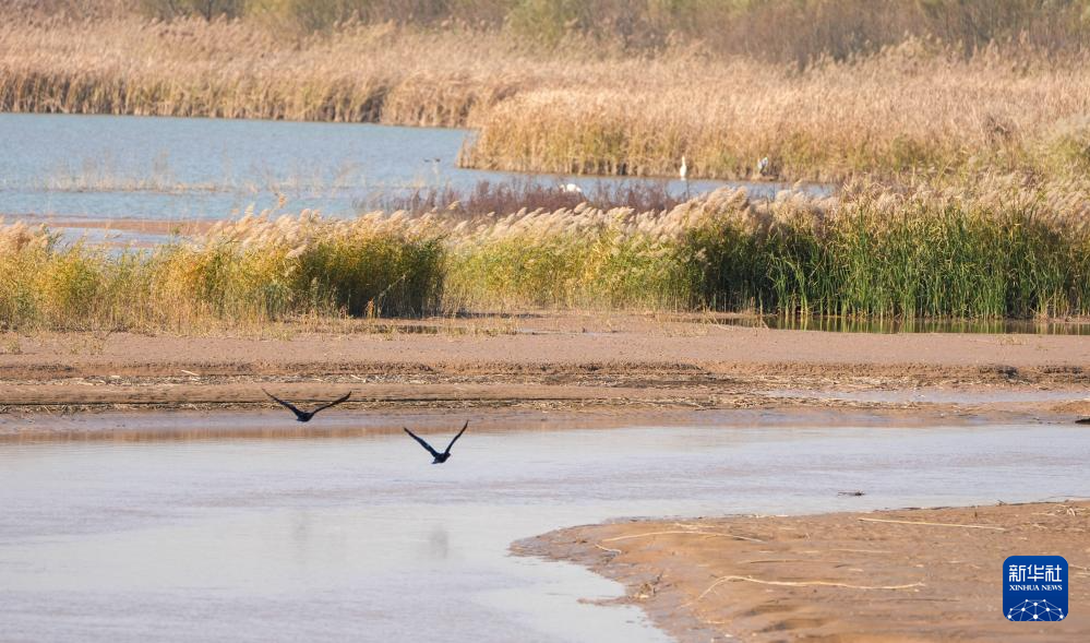 初冬时节，神州大地开启“美颜”模式