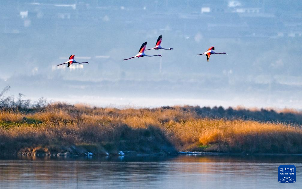 初冬时节，神州大地开启“美颜”模式