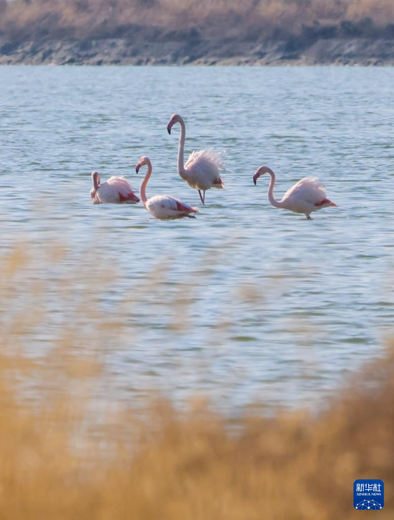 初冬时节，神州大地开启“美颜”模式