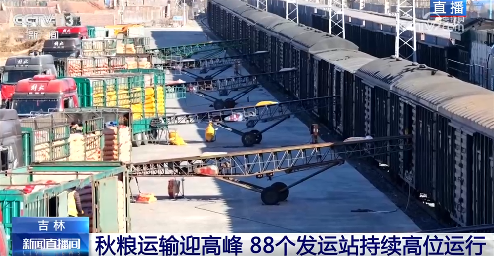 “铁海联运”“黄金水道”按下秋粮运输“加速键” 为全国粮食安全筑牢坚实屏障
