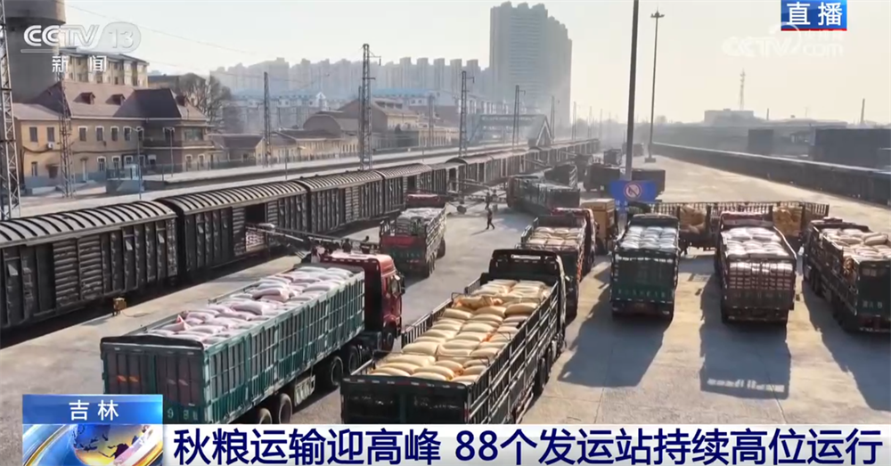 “铁海联运”“黄金水道”按下秋粮运输“加速键” 为全国粮食安全筑牢坚实屏障