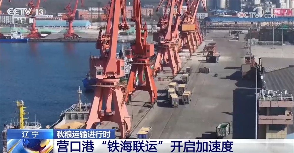 “铁海联运”“黄金水道”按下秋粮运输“加速键” 为全国粮食安全筑牢坚实屏障