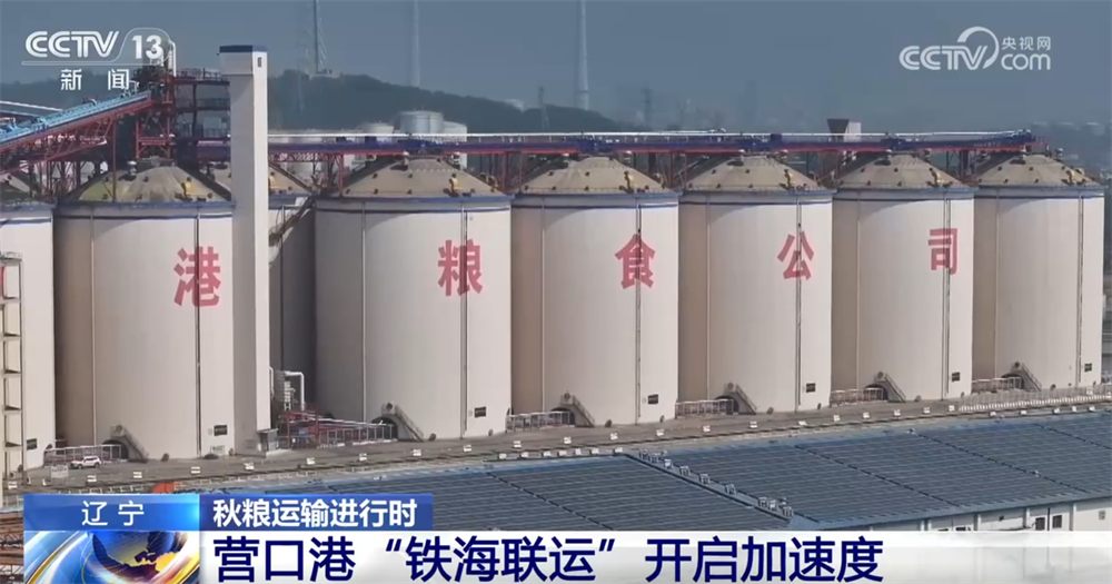 “铁海联运”“黄金水道”按下秋粮运输“加速键” 为全国粮食安全筑牢坚实屏障