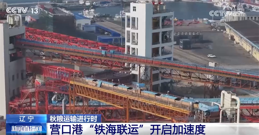 “铁海联运”“黄金水道”按下秋粮运输“加速键” 为全国粮食安全筑牢坚实屏障