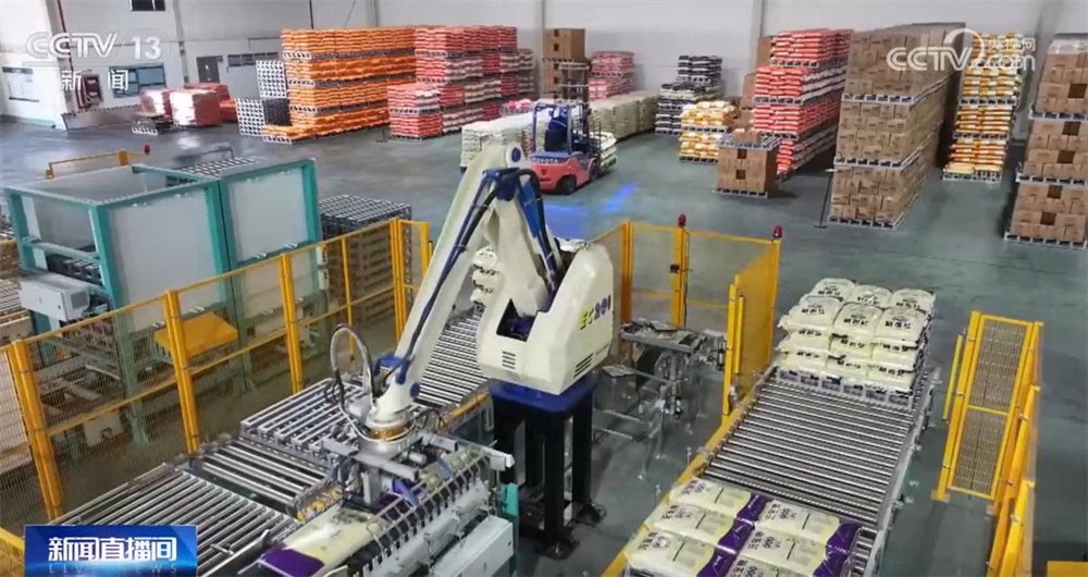 “铁海联运”“黄金水道”按下秋粮运输“加速键” 为全国粮食安全筑牢坚实屏障