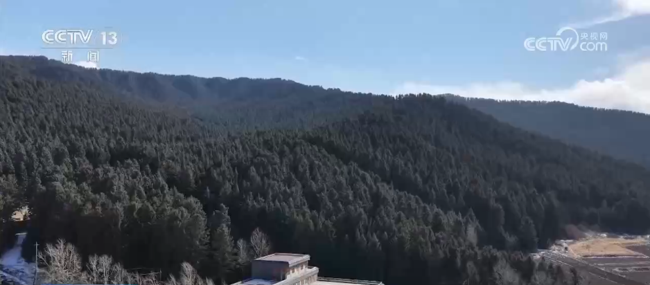 超级冰滑梯、林海围炉……解锁新体验!特色冰雪活动拉满冬日文旅期待值