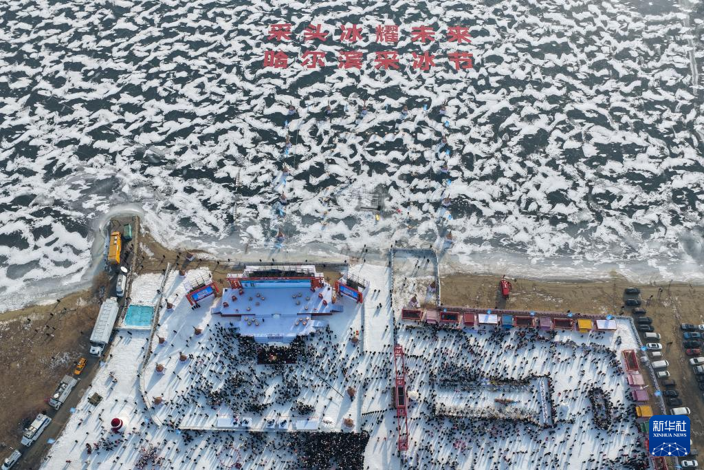 哈尔滨采冰节启幕 “冰城”进入采冰季