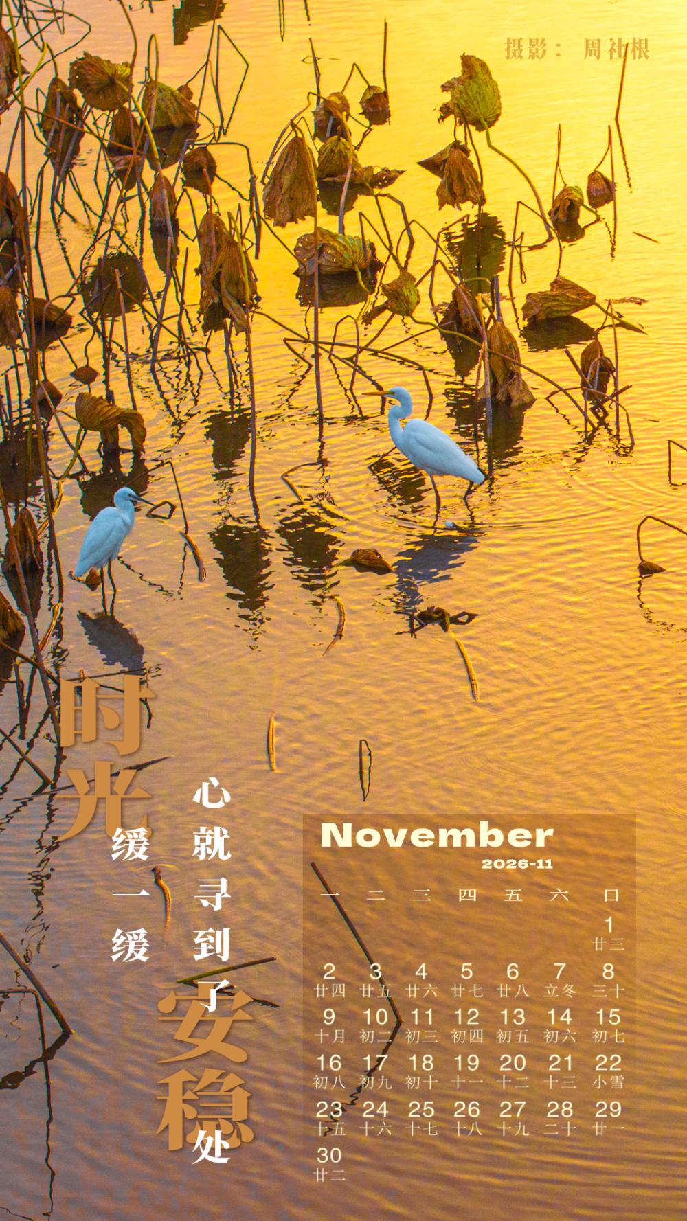 解锁2026壁纸，承包你一整年的屏保浪漫