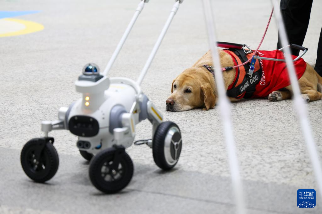 深圳地铁试点启用智能导盲犬服务