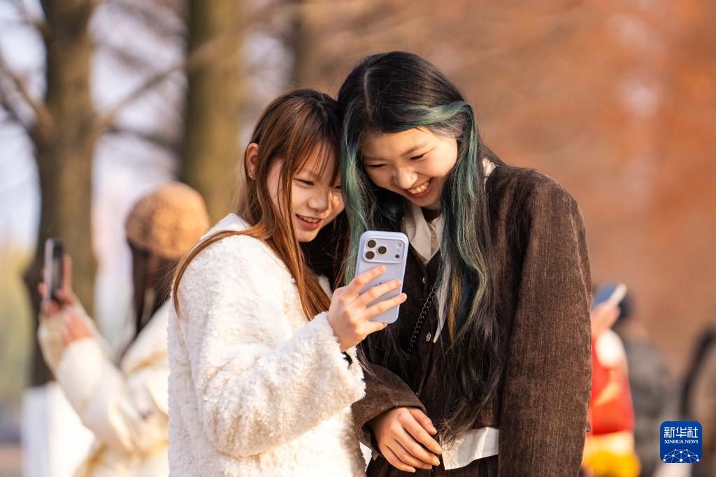 长沙:水杉披红引客来