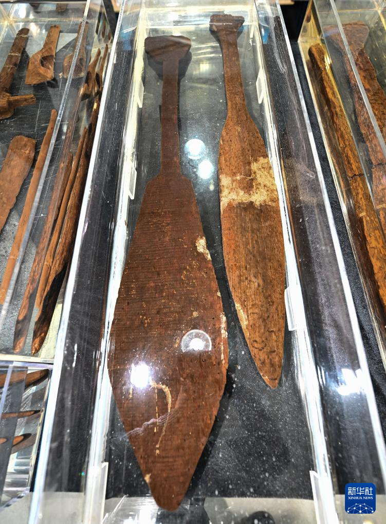 文化中国行丨走进浙江宁波余姚井头山遗址