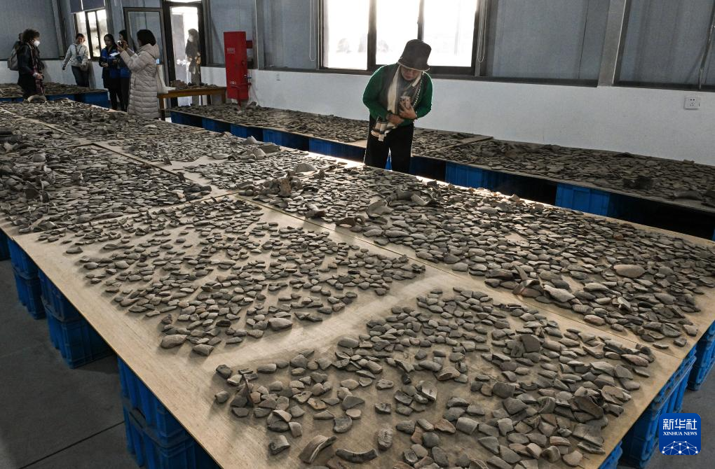 文化中国行丨走进浙江宁波余姚井头山遗址