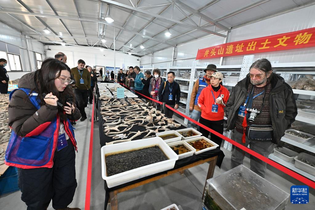 文化中国行丨走进浙江宁波余姚井头山遗址