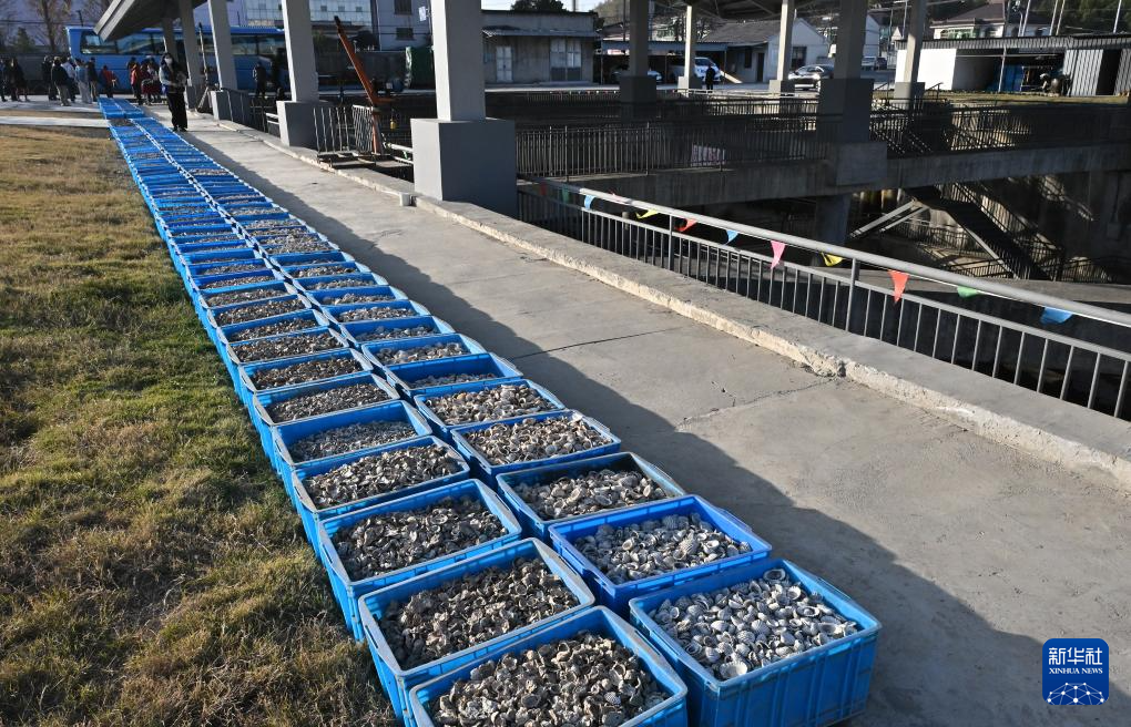 文化中国行丨走进浙江宁波余姚井头山遗址