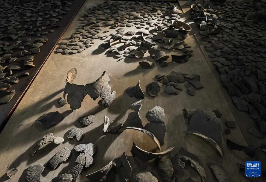 文化中国行丨走进浙江宁波余姚井头山遗址