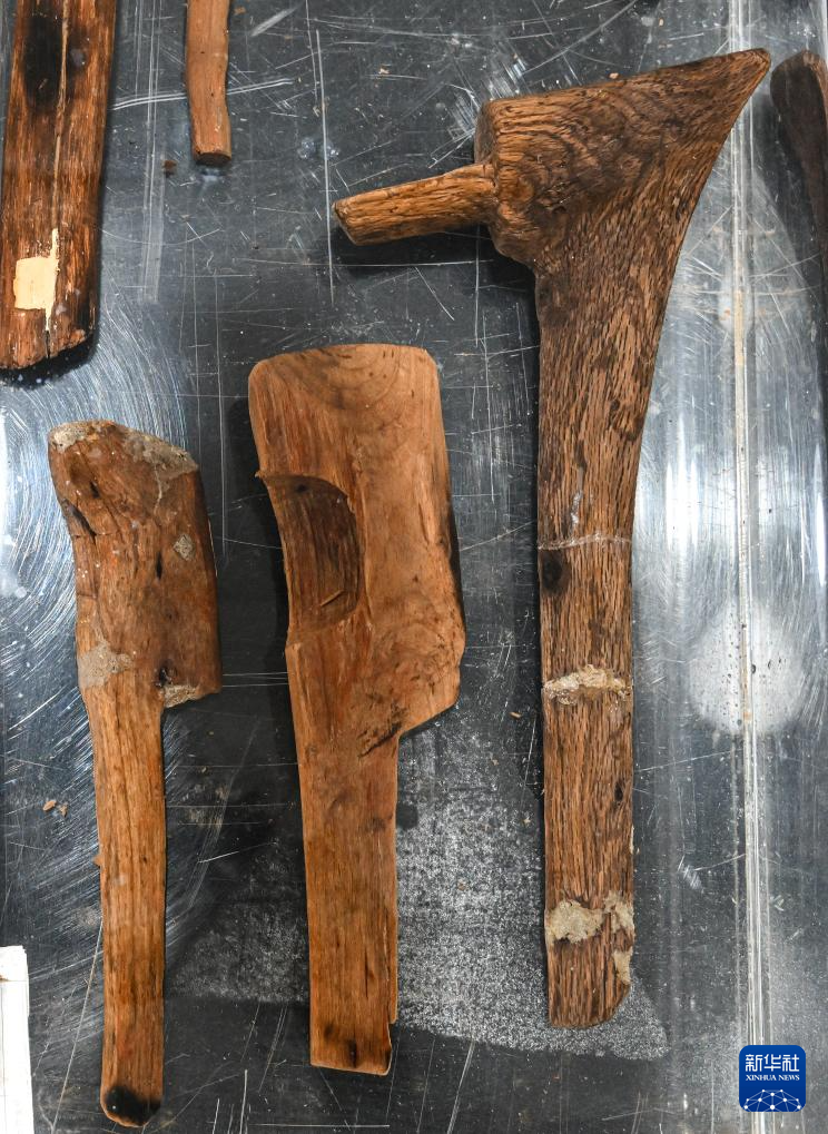 文化中国行丨走进浙江宁波余姚井头山遗址