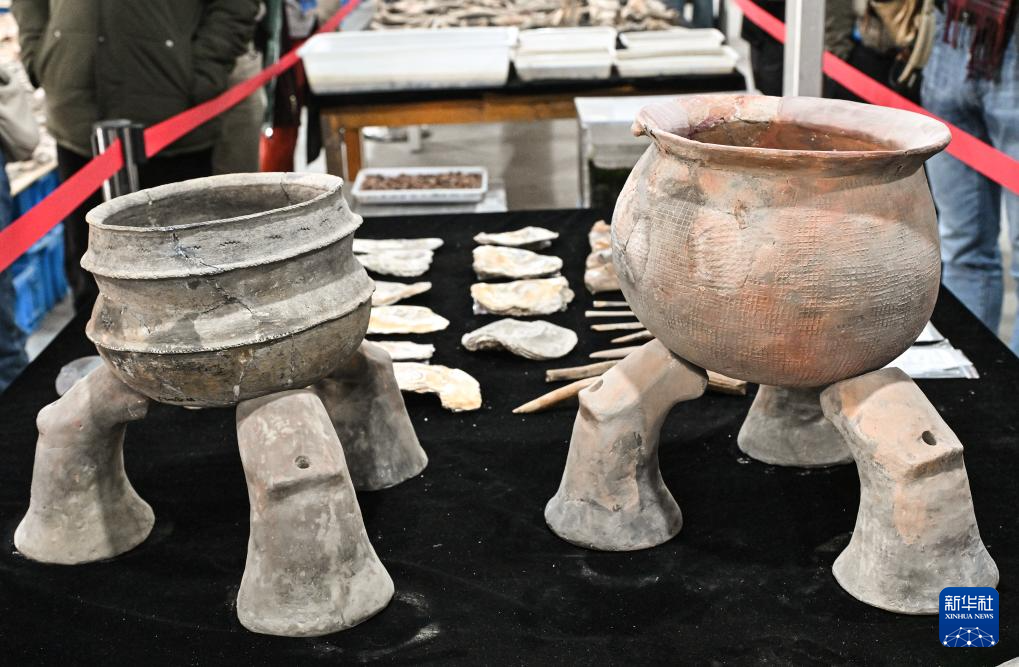 文化中国行丨走进浙江宁波余姚井头山遗址