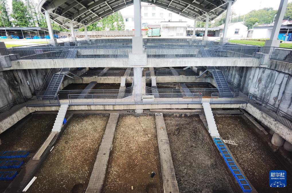 文化中国行丨走进浙江宁波余姚井头山遗址