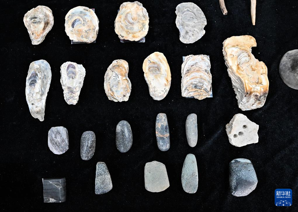 文化中国行丨走进浙江宁波余姚井头山遗址