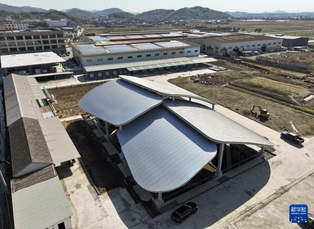 文化中国行丨走进浙江宁波余姚井头山遗址