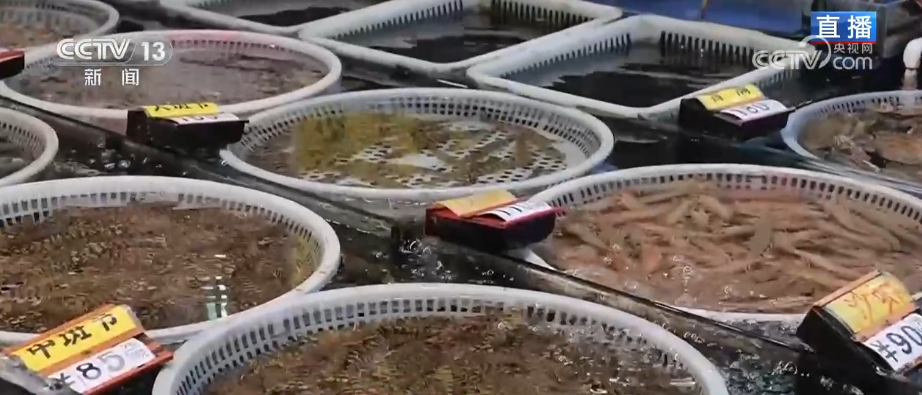 特色市集丰富节前市场 品质升级、暖意涌动点亮节前消费新图景