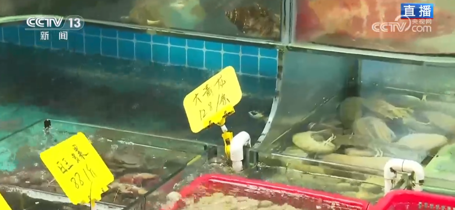 特色市集丰富节前市场 品质升级、暖意涌动点亮节前消费新图景