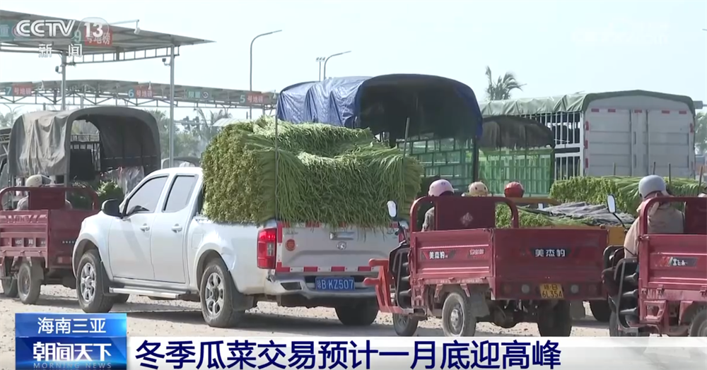 百姓“菜篮子”物丰量足“鲜”味浓 土特产点燃“年货经济”新引擎