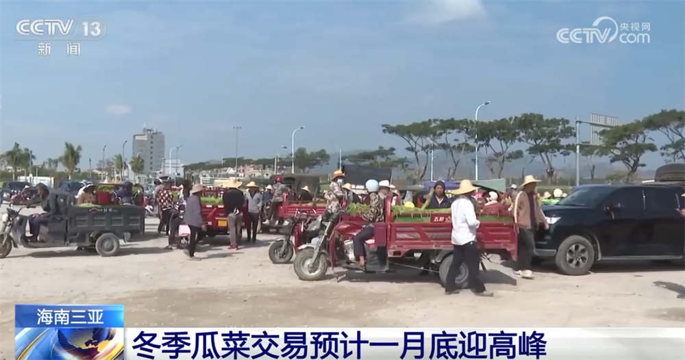 百姓“菜篮子”物丰量足“鲜”味浓 土特产点燃“年货经济”新引擎