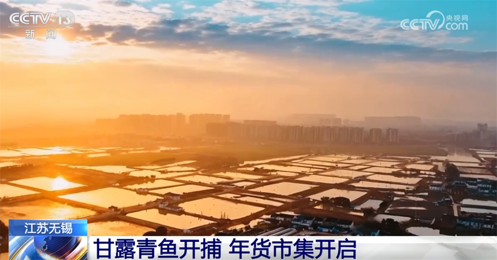 百姓“菜篮子”物丰量足“鲜”味浓 土特产点燃“年货经济”新引擎