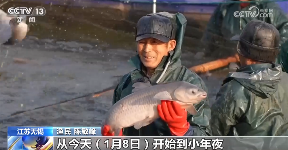 百姓“菜篮子”物丰量足“鲜”味浓 土特产点燃“年货经济”新引擎