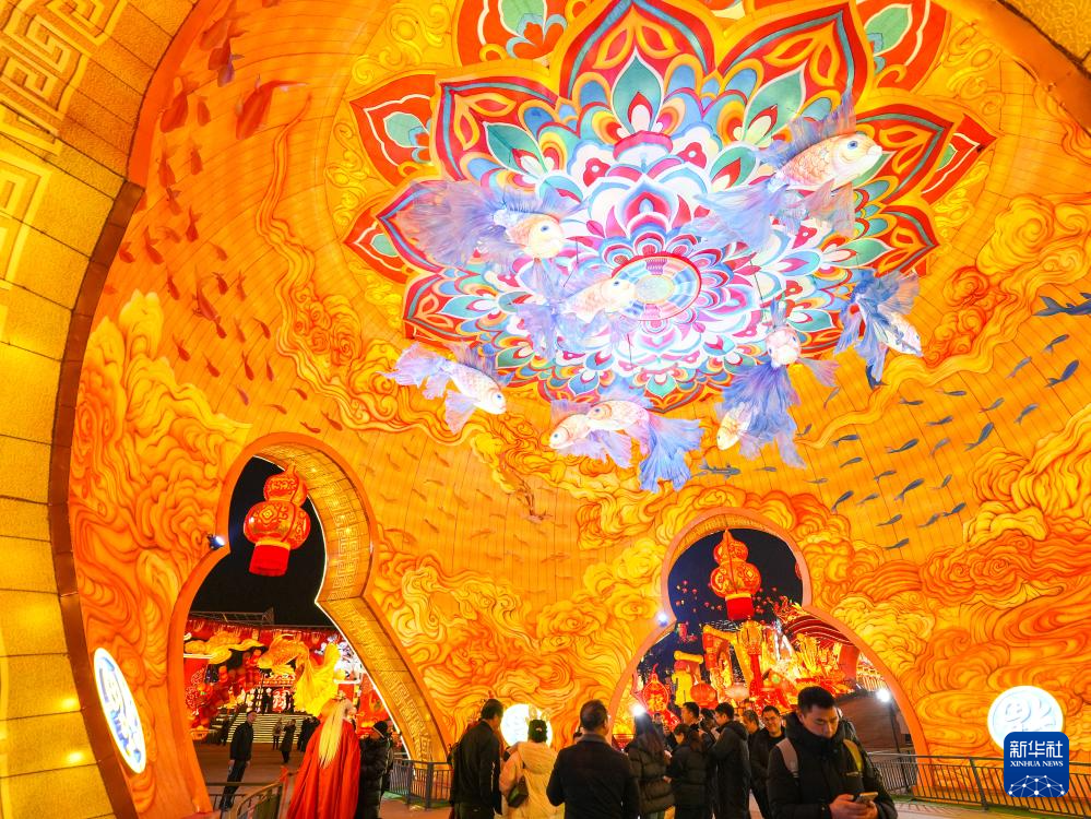 第32届自贡国际恐龙灯会亮灯