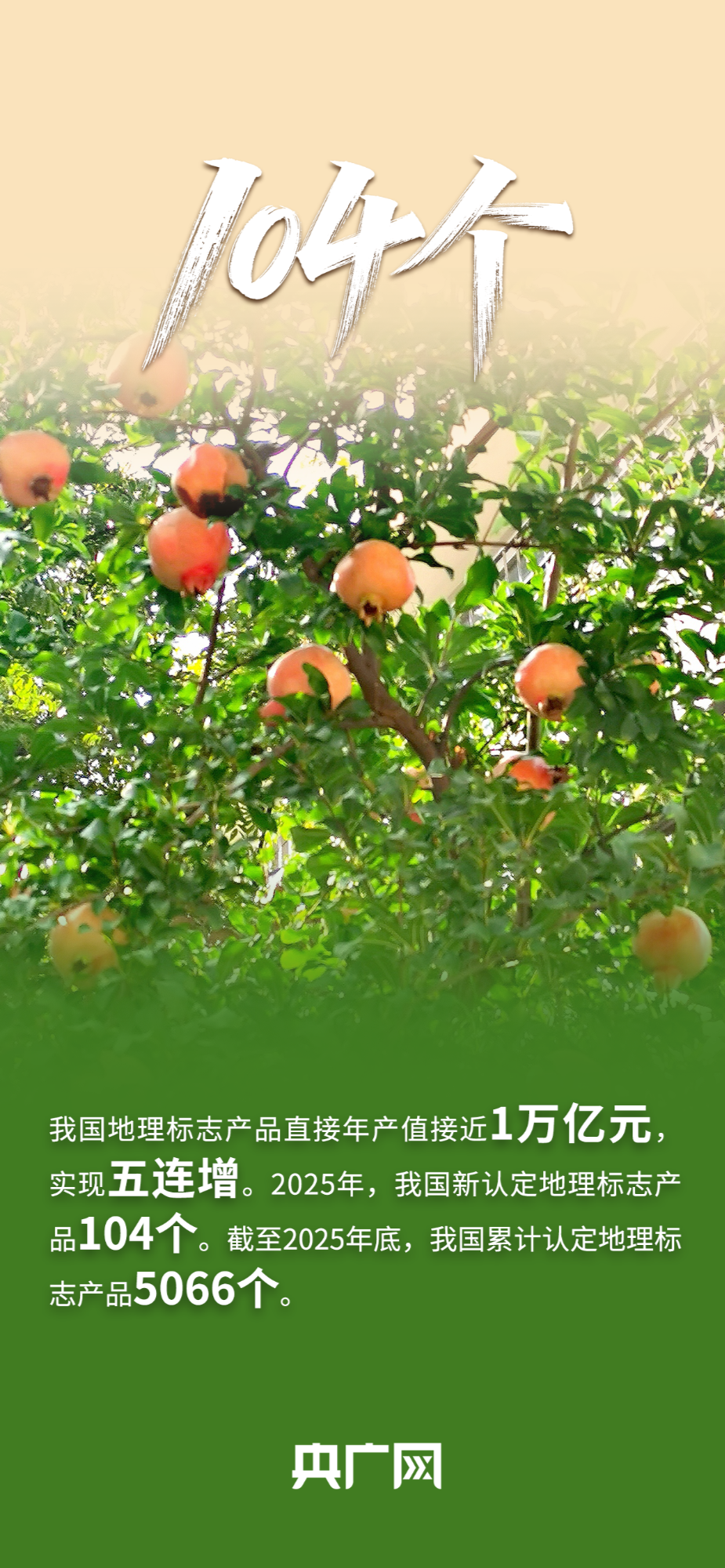 全球第二、3个“最”!一组数据看2025知识产权“硬核”答卷!