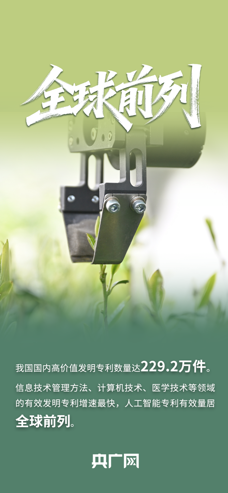 全球第二、3个“最”!一组数据看2025知识产权“硬核”答卷!
