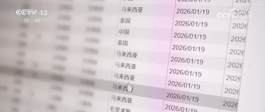 顶压前行、逆势增长,为什么行?打开“集装箱”解锁“抢手货”看外贸新亮点