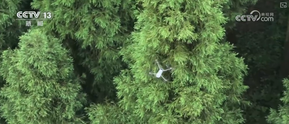 顶压前行、逆势增长,为什么行?打开“集装箱”解锁“抢手货”看外贸新亮点