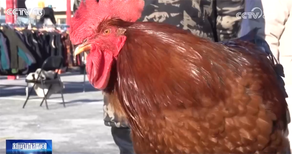 年货大集打造“农文旅融合”亮丽名片 烟火气中“线上+线下”齐享消费盛宴