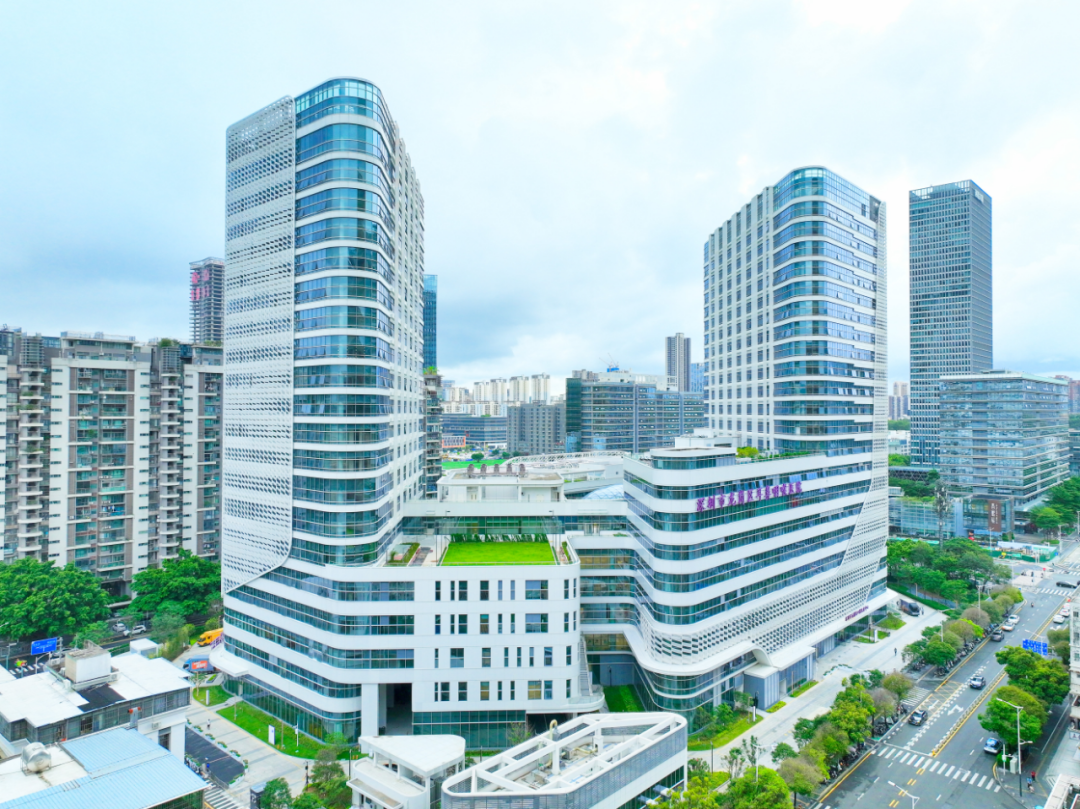 6000亿！看龙岗的2025年……