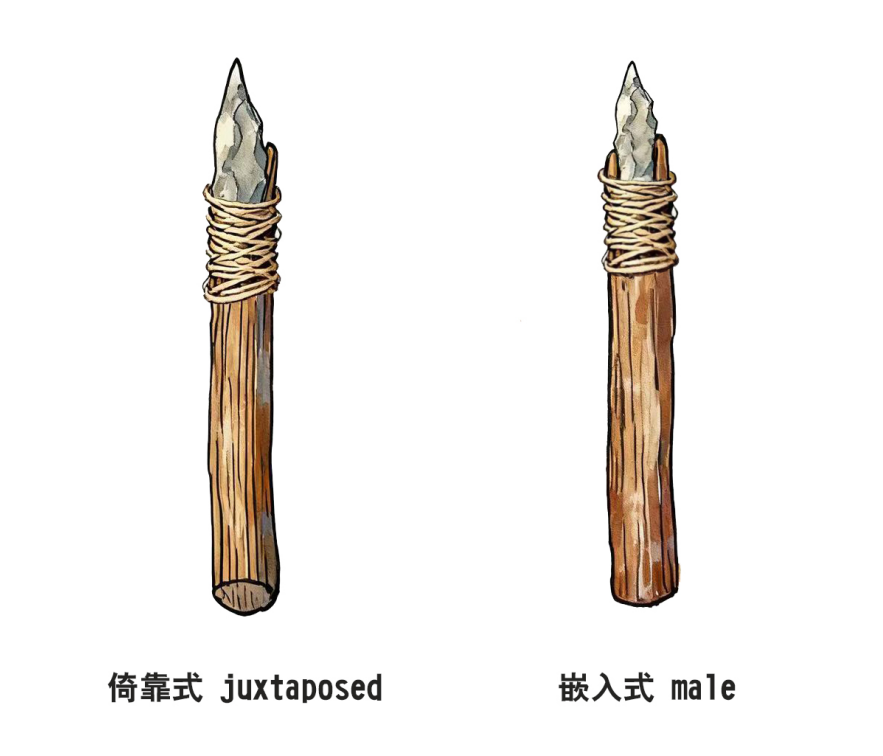 东亚旧石器“落后保守”？新发现颠覆这一认知