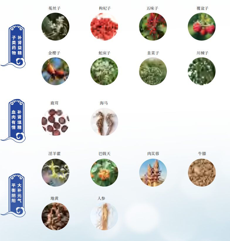 衰老真的可干预?这项科研成果给出硬核答案 衰老真的可干预?这项科研成果给出硬核答案