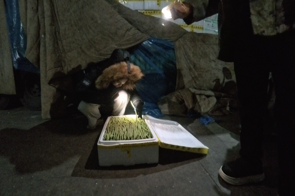 新春走基层·记者体验360行|“95后”新农人！大市场里的新买手