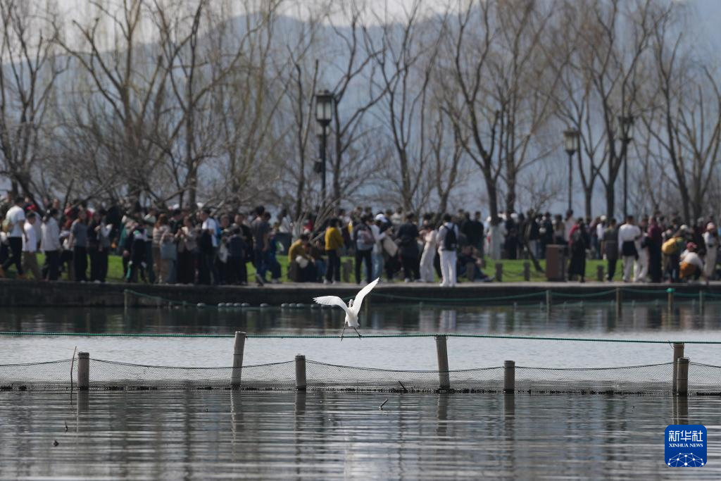新春西湖游人众