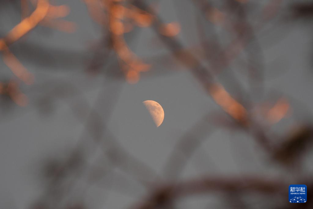 星空相册丨年度最大上弦月现身天宇