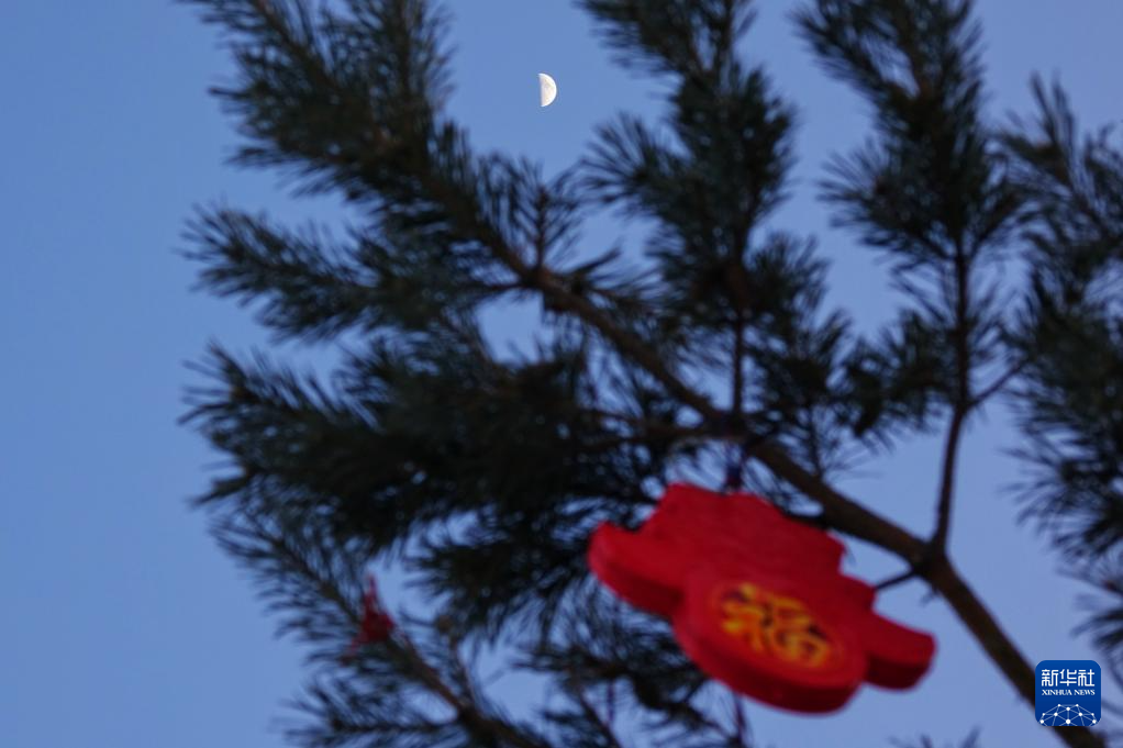 星空相册丨年度最大上弦月现身天宇