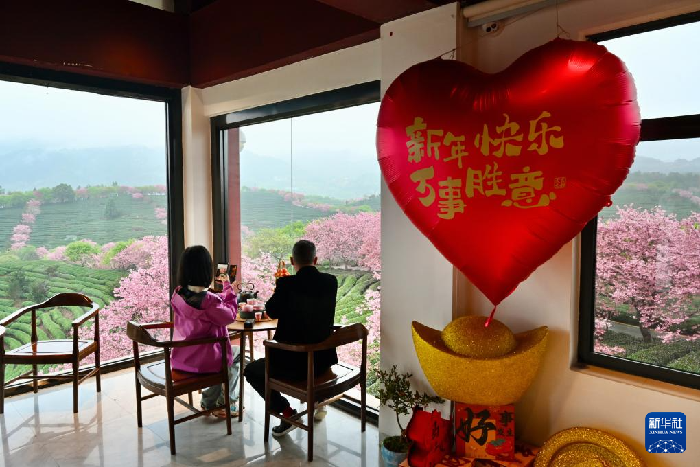 樱花绽放激活“春日经济”